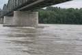 Die Donau kurz vor dem Hchststand am 13.9.2007